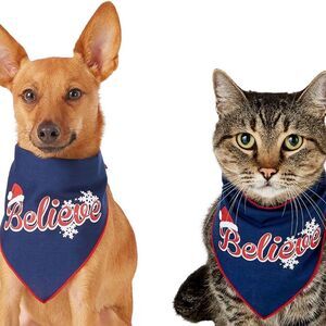 Pup Crew Pet Bandana Cat or Dog Christmas Believe Santa Hat Snow Blue XS-S New